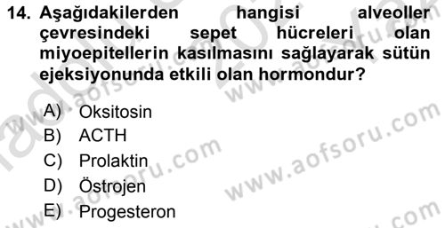 Temel Sürü Sağlığı Yönetimi Dersi 2023 - 2024 Yılı Yaz Okulu Sınav Soruları 14. Soru