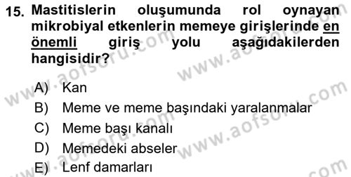 Temel Sürü Sağlığı Yönetimi Dersi 2023 - 2024 Yılı Yaz Okulu Sınav Soruları 15. Soru