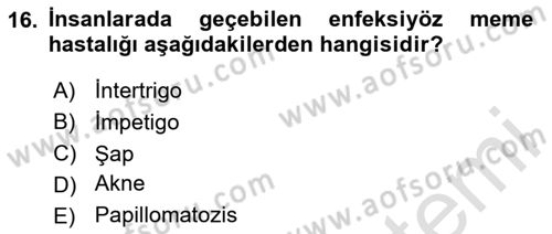 Temel Sürü Sağlığı Yönetimi Dersi 2023 - 2024 Yılı Yaz Okulu Sınav Soruları 16. Soru