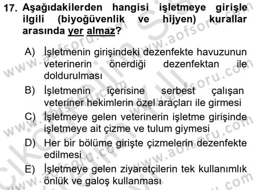Temel Sürü Sağlığı Yönetimi Dersi 2023 - 2024 Yılı Yaz Okulu Sınav Soruları 17. Soru