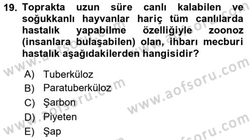 Temel Sürü Sağlığı Yönetimi Dersi 2023 - 2024 Yılı Yaz Okulu Sınav Soruları 19. Soru