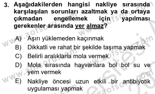 Temel Sürü Sağlığı Yönetimi Dersi 2023 - 2024 Yılı Yaz Okulu Sınav Soruları 3. Soru