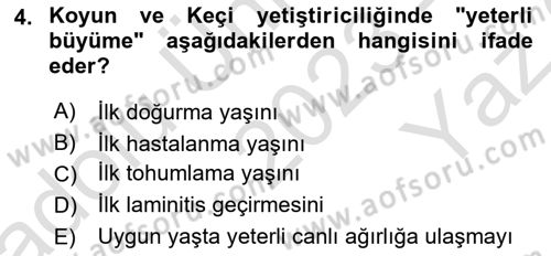 Temel Sürü Sağlığı Yönetimi Dersi 2023 - 2024 Yılı Yaz Okulu Sınav Soruları 4. Soru
