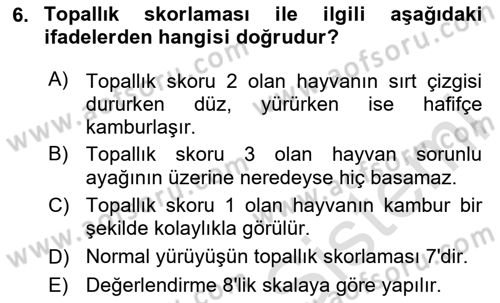Temel Sürü Sağlığı Yönetimi Dersi 2023 - 2024 Yılı Yaz Okulu Sınav Soruları 6. Soru
