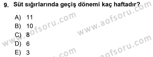 Temel Sürü Sağlığı Yönetimi Dersi 2023 - 2024 Yılı Yaz Okulu Sınav Soruları 9. Soru