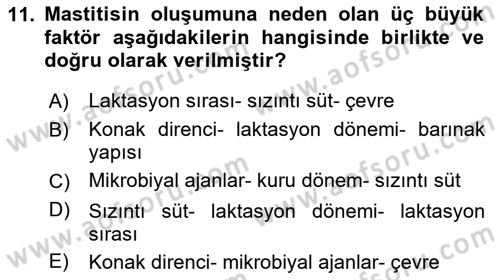 Temel Sürü Sağlığı Yönetimi Dersi 2024 - 2025 Yılı (Vize) Ara Sınavı 11. Soru