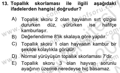 Temel Sürü Sağlığı Yönetimi Dersi 2024 - 2025 Yılı (Vize) Ara Sınavı 13. Soru