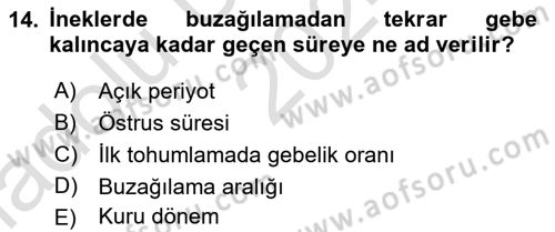 Temel Sürü Sağlığı Yönetimi Dersi 2024 - 2025 Yılı (Vize) Ara Sınavı 14. Soru