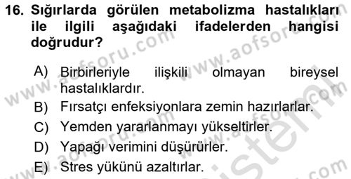 Temel Sürü Sağlığı Yönetimi Dersi 2024 - 2025 Yılı (Vize) Ara Sınavı 16. Soru