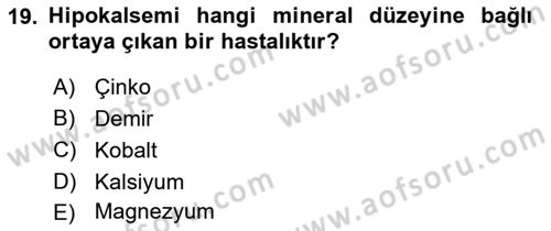 Temel Sürü Sağlığı Yönetimi Dersi 2024 - 2025 Yılı (Vize) Ara Sınavı 19. Soru