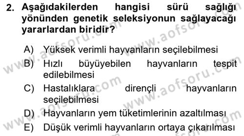 Temel Sürü Sağlığı Yönetimi Dersi 2024 - 2025 Yılı (Vize) Ara Sınavı 2. Soru