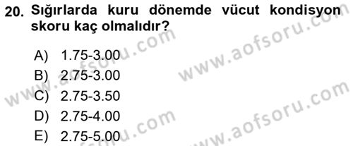 Temel Sürü Sağlığı Yönetimi Dersi 2024 - 2025 Yılı (Vize) Ara Sınav Soruları 20. Soru