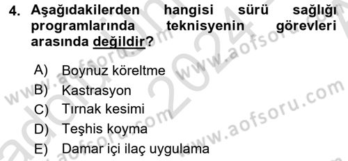 Temel Sürü Sağlığı Yönetimi Dersi 2024 - 2025 Yılı (Vize) Ara Sınavı 4. Soru