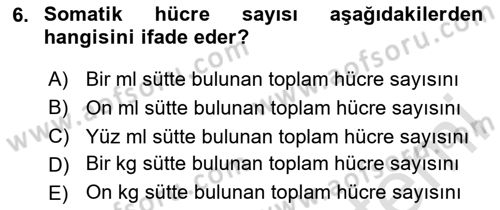 Temel Sürü Sağlığı Yönetimi Dersi 2024 - 2025 Yılı (Vize) Ara Sınavı 6. Soru