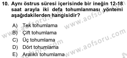 Temel Sürü Sağlığı Yönetimi Dersi 2024 - 2025 Yılı (Final) Dönem Sonu Sınav Soruları 10. Soru