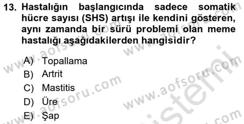 Temel Sürü Sağlığı Yönetimi Dersi 2024 - 2025 Yılı (Final) Dönem Sonu Sınav Soruları 13. Soru