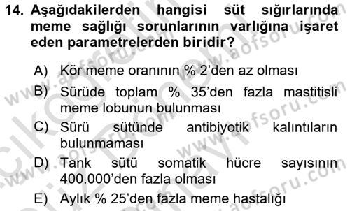 Temel Sürü Sağlığı Yönetimi Dersi 2024 - 2025 Yılı (Final) Dönem Sonu Sınav Soruları 14. Soru