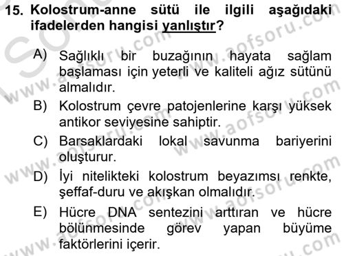 Temel Sürü Sağlığı Yönetimi Dersi 2024 - 2025 Yılı (Final) Dönem Sonu Sınav Soruları 15. Soru