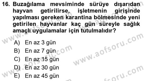 Temel Sürü Sağlığı Yönetimi Dersi 2024 - 2025 Yılı (Final) Dönem Sonu Sınav Soruları 16. Soru