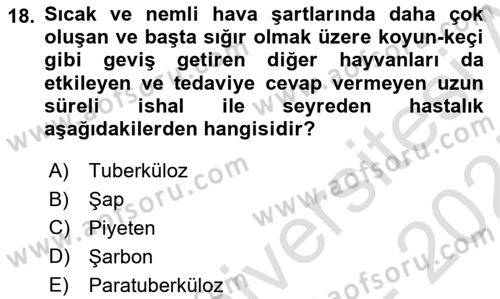 Temel Sürü Sağlığı Yönetimi Dersi 2024 - 2025 Yılı (Final) Dönem Sonu Sınav Soruları 18. Soru