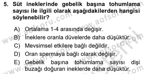Temel Sürü Sağlığı Yönetimi Dersi 2024 - 2025 Yılı (Final) Dönem Sonu Sınav Soruları 5. Soru