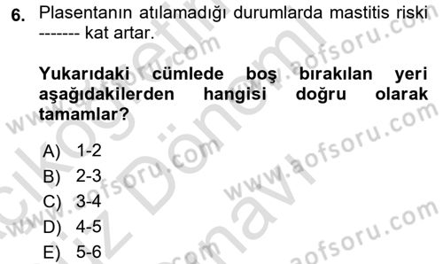 Temel Sürü Sağlığı Yönetimi Dersi 2024 - 2025 Yılı (Final) Dönem Sonu Sınav Soruları 6. Soru
