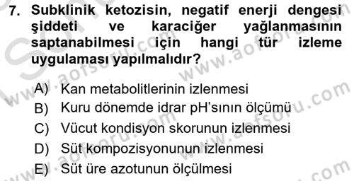Temel Sürü Sağlığı Yönetimi Dersi 2024 - 2025 Yılı (Final) Dönem Sonu Sınav Soruları 7. Soru