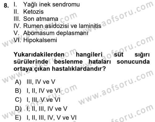 Temel Sürü Sağlığı Yönetimi Dersi 2024 - 2025 Yılı (Final) Dönem Sonu Sınav Soruları 8. Soru
