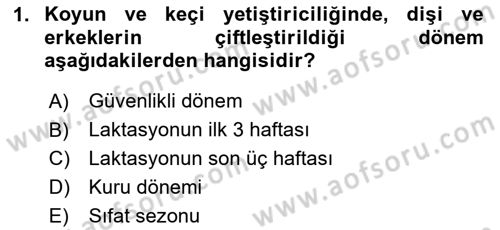 Temel Sürü Sağlığı Yönetimi Dersi 2024 - 2025 Yılı Yaz Okulu Sınav Soruları 1. Soru