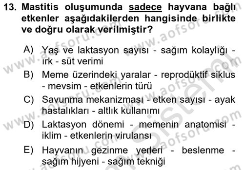 Temel Sürü Sağlığı Yönetimi Dersi 2024 - 2025 Yılı Yaz Okulu Sınav Soruları 13. Soru