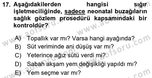 Temel Sürü Sağlığı Yönetimi Dersi 2024 - 2025 Yılı Yaz Okulu Sınav Soruları 17. Soru