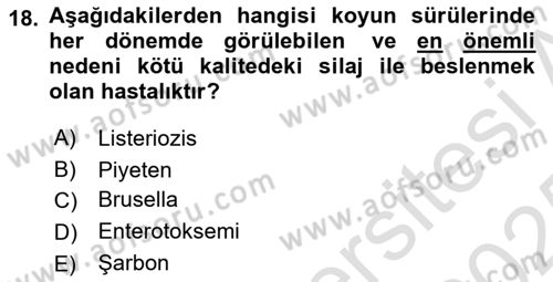 Temel Sürü Sağlığı Yönetimi Dersi 2024 - 2025 Yılı Yaz Okulu Sınav Soruları 18. Soru