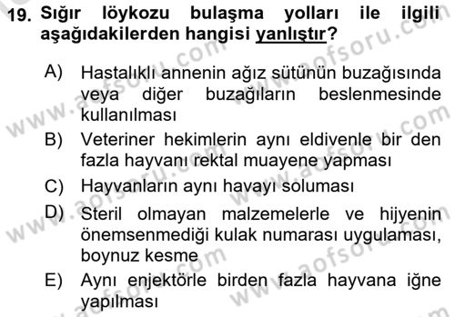 Temel Sürü Sağlığı Yönetimi Dersi 2024 - 2025 Yılı Yaz Okulu Sınav Soruları 19. Soru