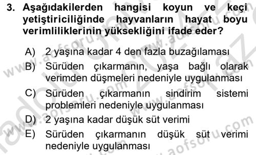 Temel Sürü Sağlığı Yönetimi Dersi 2024 - 2025 Yılı Yaz Okulu Sınav Soruları 3. Soru