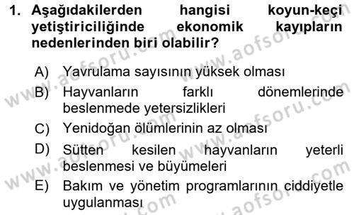 Temel Sürü Sağlığı Yönetimi Dersi 2025 - 2026 Yılı (Vize) Ara Sınav Soruları 1. Soru