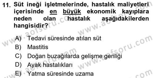 Temel Sürü Sağlığı Yönetimi Dersi 2025 - 2026 Yılı (Vize) Ara Sınav Soruları 11. Soru