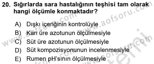 Temel Sürü Sağlığı Yönetimi Dersi 2025 - 2026 Yılı (Vize) Ara Sınav Soruları 20. Soru