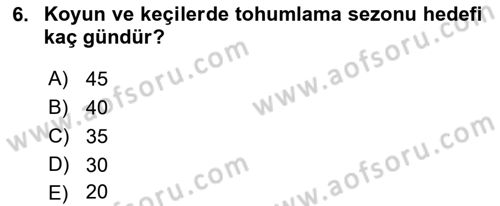 Temel Sürü Sağlığı Yönetimi Dersi 2025 - 2026 Yılı (Vize) Ara Sınav Soruları 6. Soru