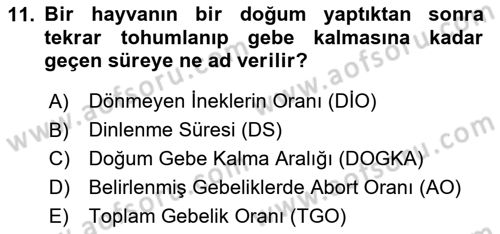 Temel Sürü Sağlığı Yönetimi Dersi 2025 - 2026 Yılı (Final) Dönem Sonu Sınav Soruları 11. Soru