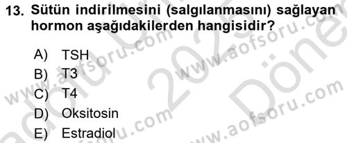Temel Sürü Sağlığı Yönetimi Dersi 2025 - 2026 Yılı (Final) Dönem Sonu Sınav Soruları 13. Soru