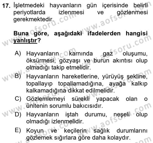 Temel Sürü Sağlığı Yönetimi Dersi 2025 - 2026 Yılı (Final) Dönem Sonu Sınav Soruları 17. Soru