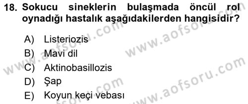Temel Sürü Sağlığı Yönetimi Dersi 2025 - 2026 Yılı (Final) Dönem Sonu Sınav Soruları 18. Soru