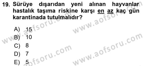 Temel Sürü Sağlığı Yönetimi Dersi 2025 - 2026 Yılı (Final) Dönem Sonu Sınav Soruları 19. Soru