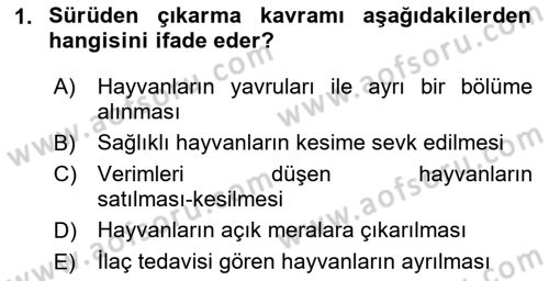 Temel Sürü Sağlığı Yönetimi Dersi 2025 - 2026 Yılı Yaz Okulu Sınav Soruları 1. Soru