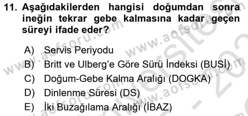 Temel Sürü Sağlığı Yönetimi Dersi 2025 - 2026 Yılı Yaz Okulu Sınav Soruları 11. Soru