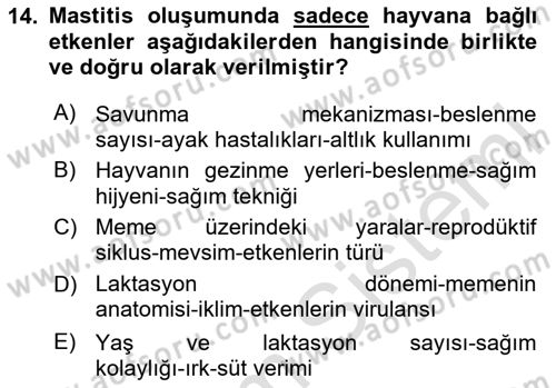 Temel Sürü Sağlığı Yönetimi Dersi 2025 - 2026 Yılı Yaz Okulu Sınav Soruları 14. Soru