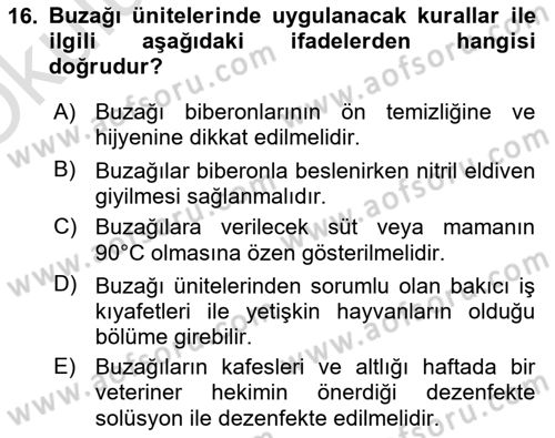 Temel Sürü Sağlığı Yönetimi Dersi 2025 - 2026 Yılı Yaz Okulu Sınav Soruları 16. Soru