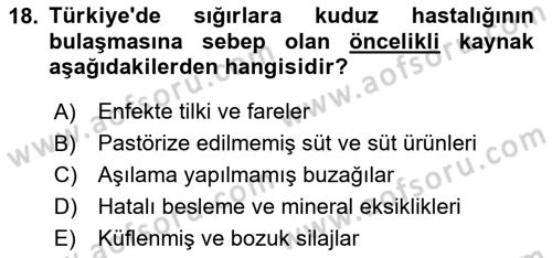 Temel Sürü Sağlığı Yönetimi Dersi 2025 - 2026 Yılı Yaz Okulu Sınav Soruları 18. Soru