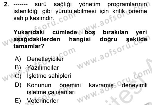 Temel Sürü Sağlığı Yönetimi Dersi 2025 - 2026 Yılı Yaz Okulu Sınav Soruları 2. Soru