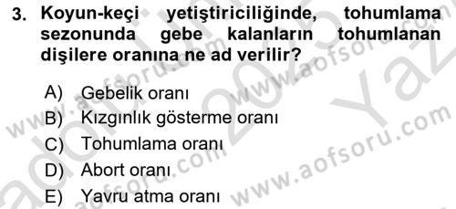 Temel Sürü Sağlığı Yönetimi Dersi 2025 - 2026 Yılı Yaz Okulu Sınav Soruları 3. Soru